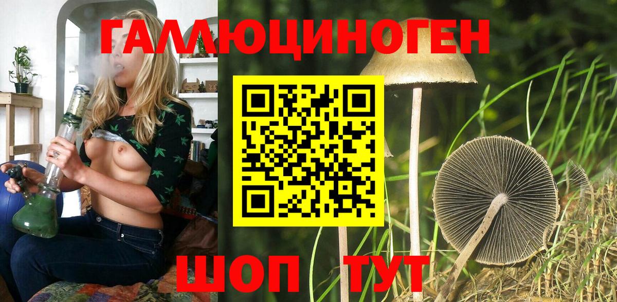 Галлюциногенные грибы Cubensis Тулун